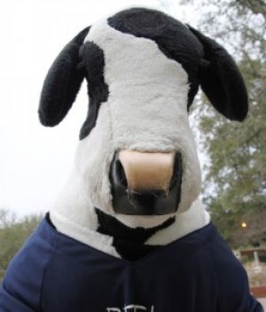Cow+Appreciation+day+equals+free+chicken.+Wear+spots%2C+get+free+chicken.+Channel+your+inner+cow+for+free+Chick-fil-A