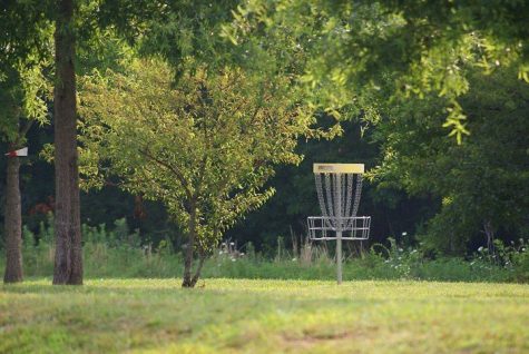 photo courtesy of Bring Disc Golf to Bullochs Facebook page