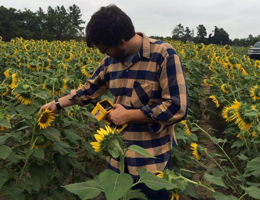 Students in the Field: Sunflower Edition