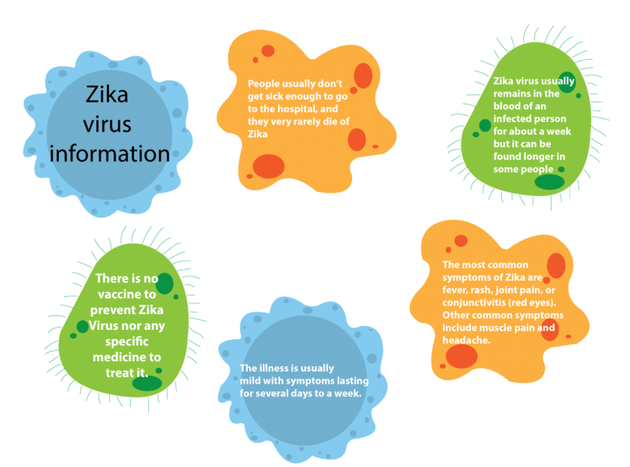 Zika Virus affects GSUs study abroad programs