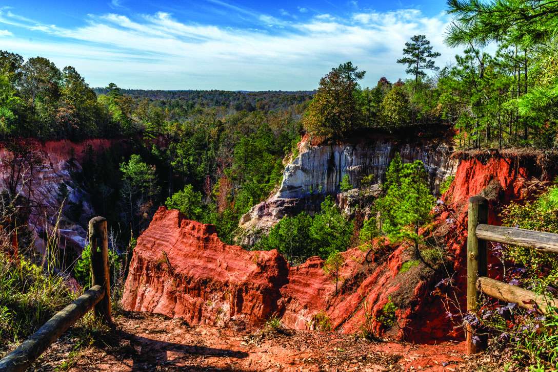 Providence Canyon1- Neely's on Wheels