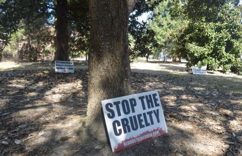  Bloodstained Men planted signs around the campus as part of their protest. One of their signs read Stop the cruelty. 