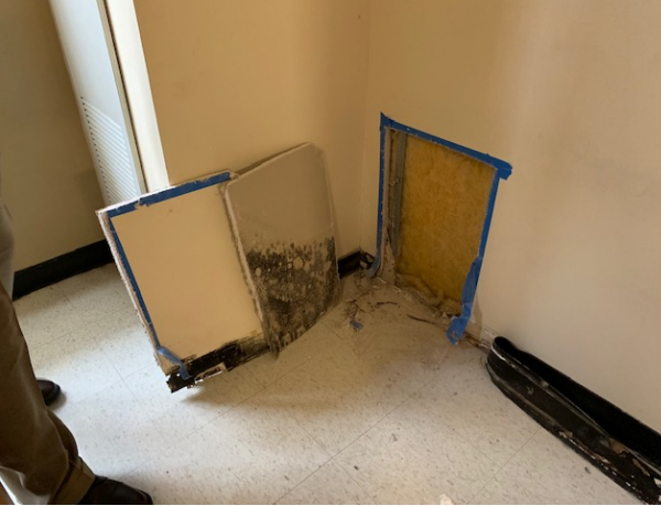 The photo above depicts the conditions inside of the wall cavity of Room 1116B in Kennedy Hall as an example of typical encountered conditions. The active mold growth on the inside of the drywall panel has been removed.