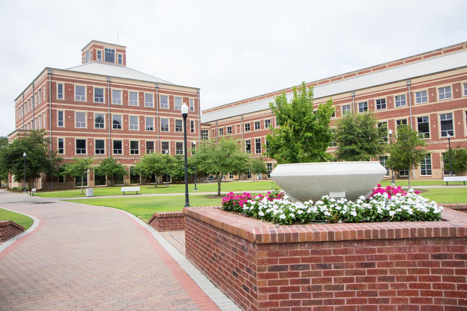 College of Education DEI committee talks about how to become an ally ...