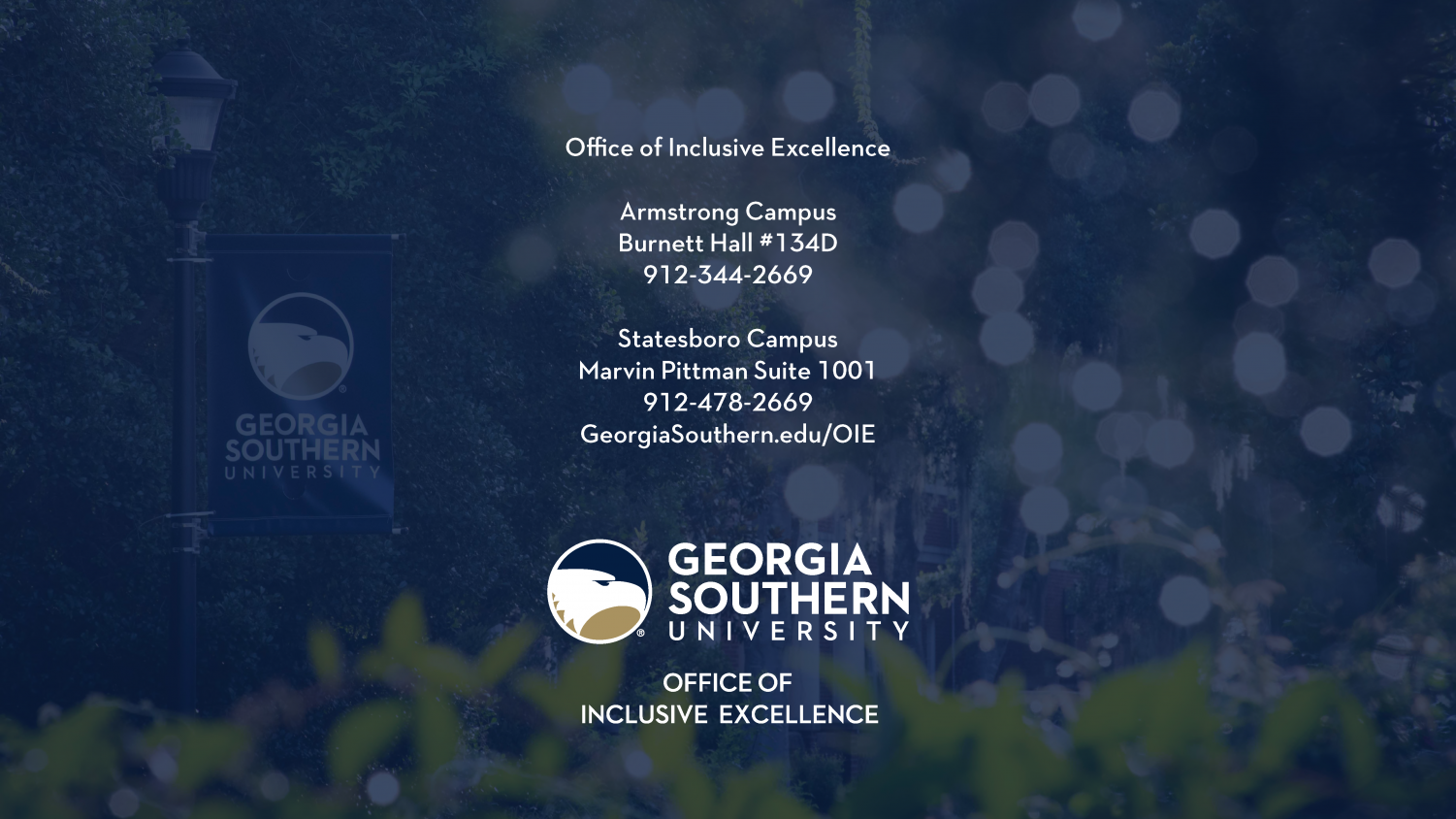 EXCLUSIVE%3A+Georgia+Southern+releases+27-page+Inclusive+Excellence+action+plan