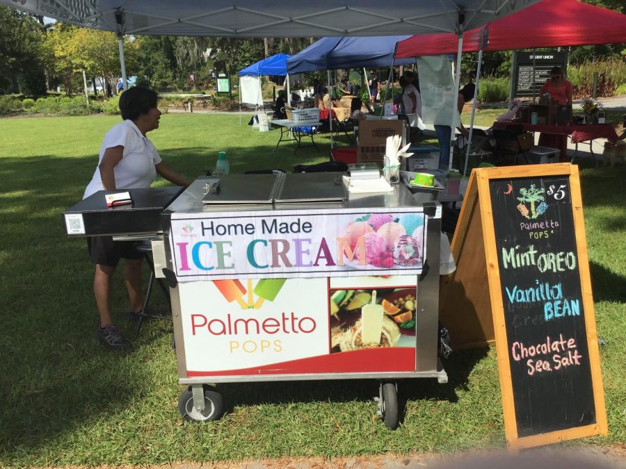 Homemade Ice Cream for $5