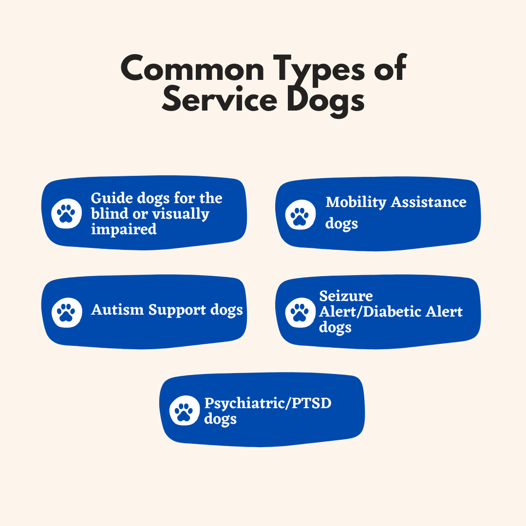 Service+Animals+vs+Emotional+Support+Animals