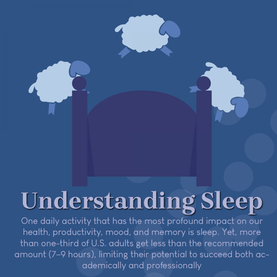 Understanding+Sleep