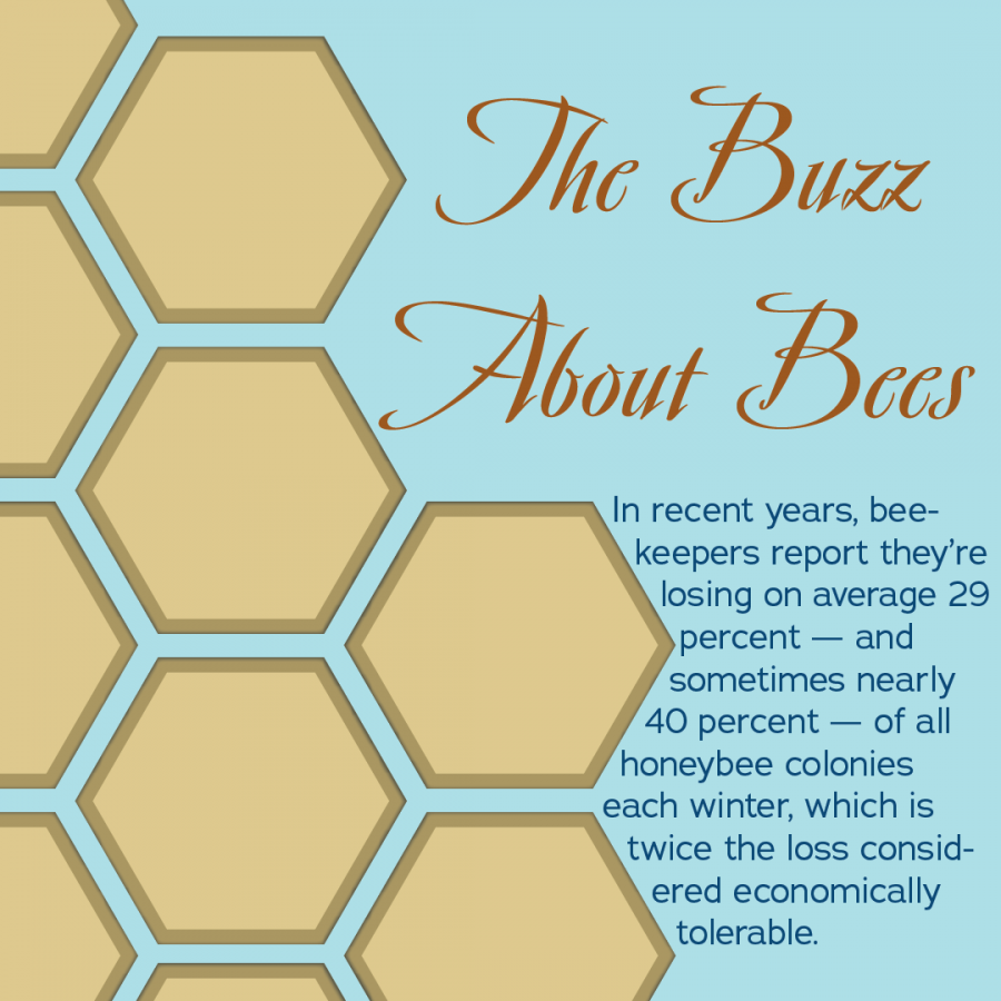 The+Buzz+About+Bees
