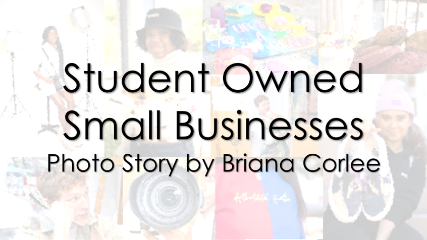 Student Owned Small Businesses