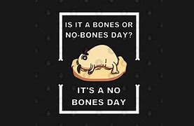 What To Do on a No Bones Day