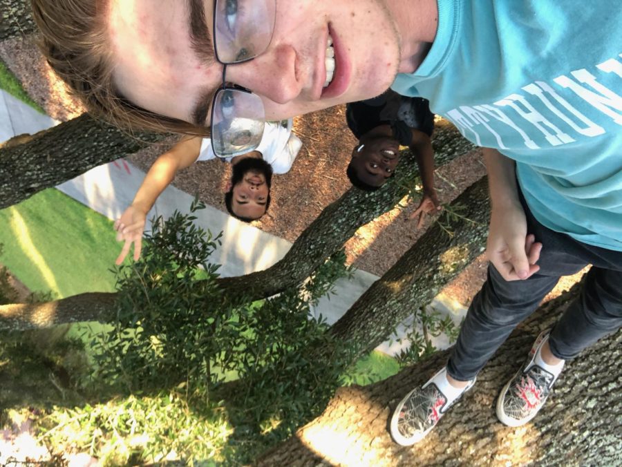 Jace Reilley, Bryce Bermudez, and Raphael Dumakor sitting in a tree located outside between the Rec Center and Academic Success center