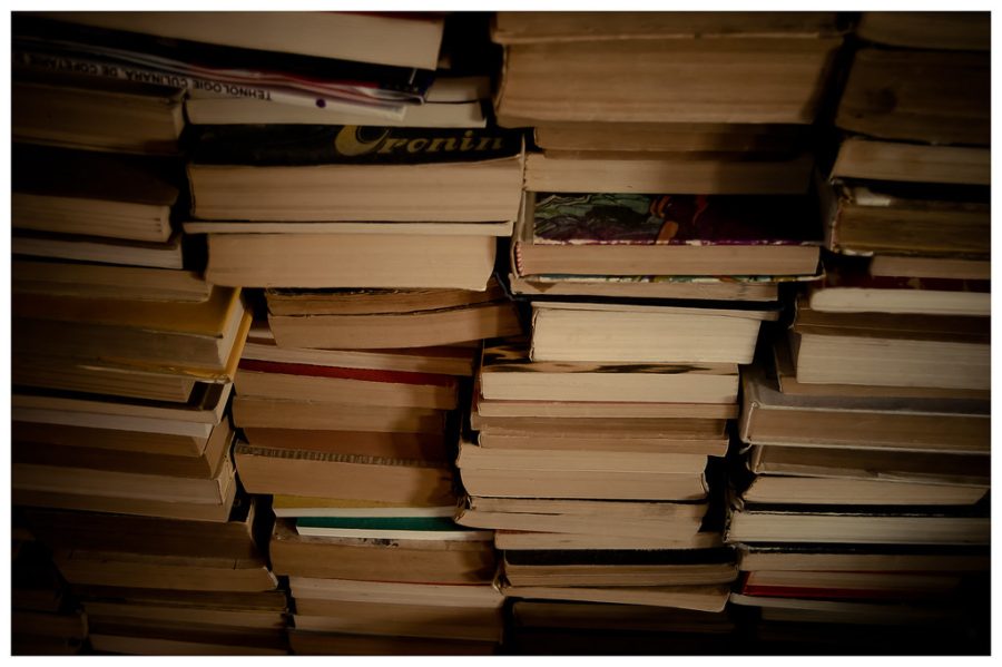 Stacks of Books. by Andrei.D40 is licensed under CC BY-NC 2.0.