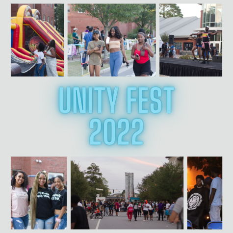Unity Fest with Dr. Joleesa Johnson