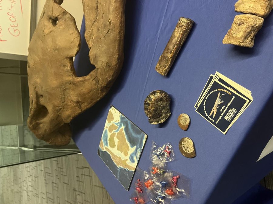 Fossils Exhibit in the Learning Commons 10/10/22