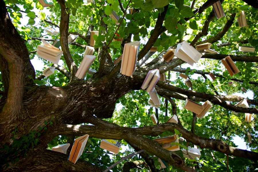 Tree of books by timtom.ch is licensed under CC BY-NC-SA 2.0.