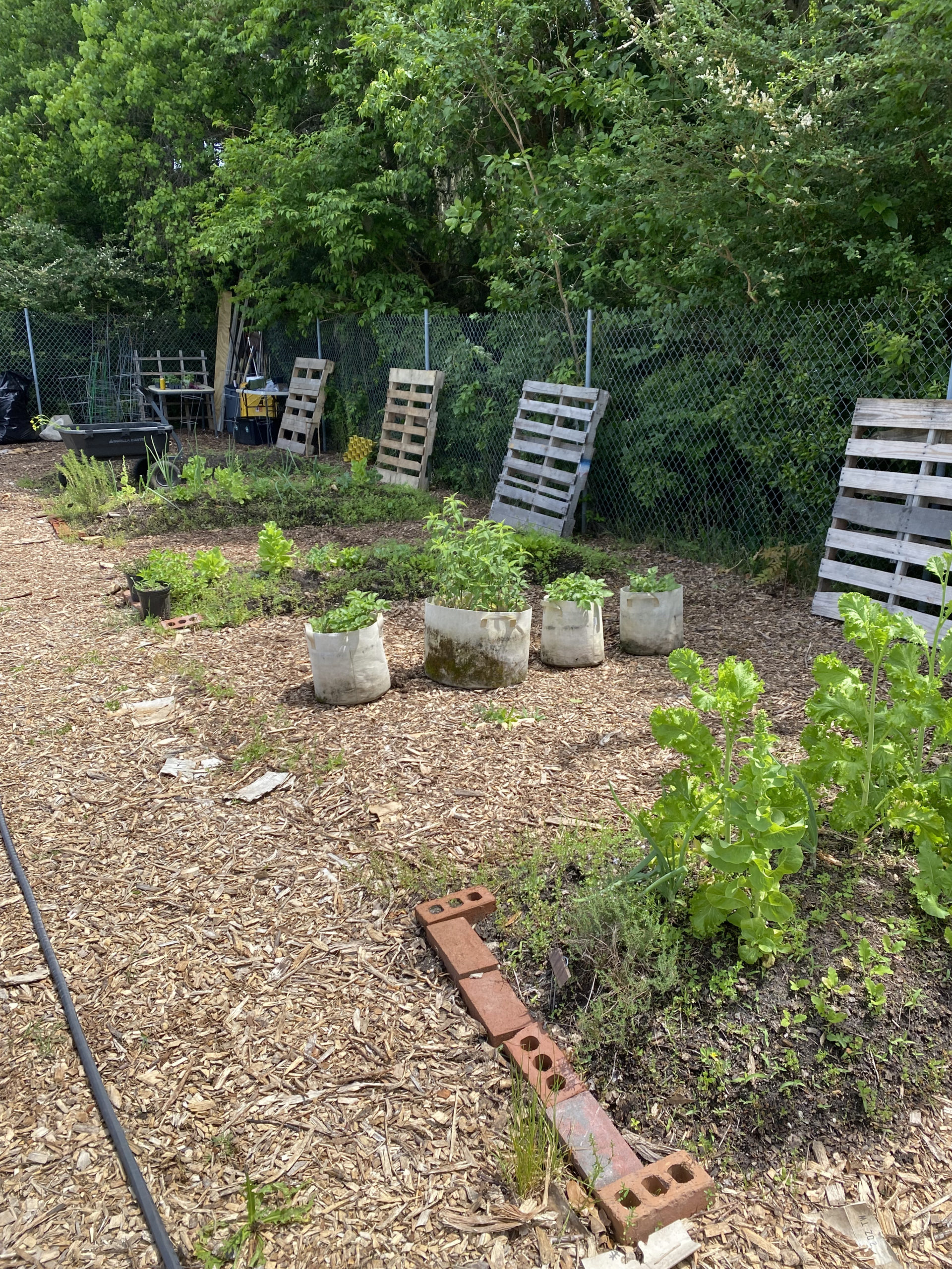 After photo of the community garden