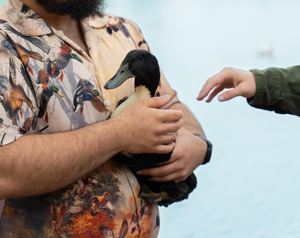 Ethen Bodruk holding his personal favorite duck “Opal”. 
