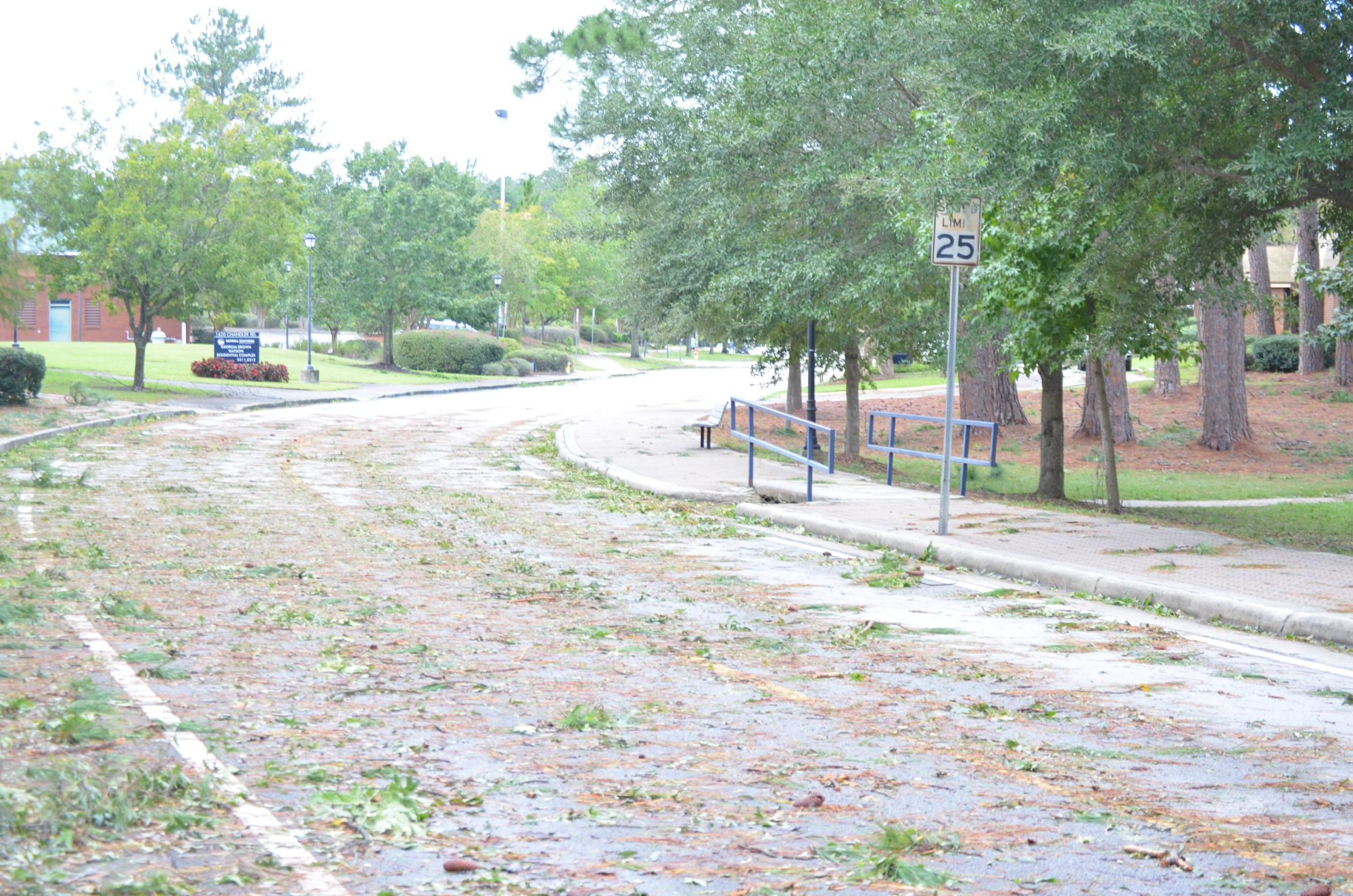 Gallery: Hurricane Helene Aftermath