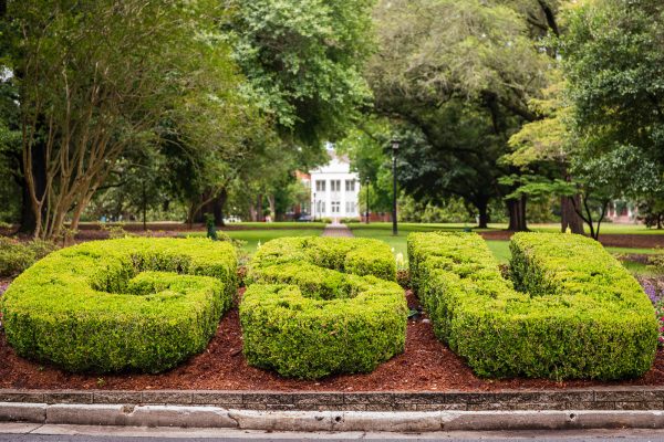 Georgia Southern Soars on The Wall Street Journal's Best Colleges 2025 List