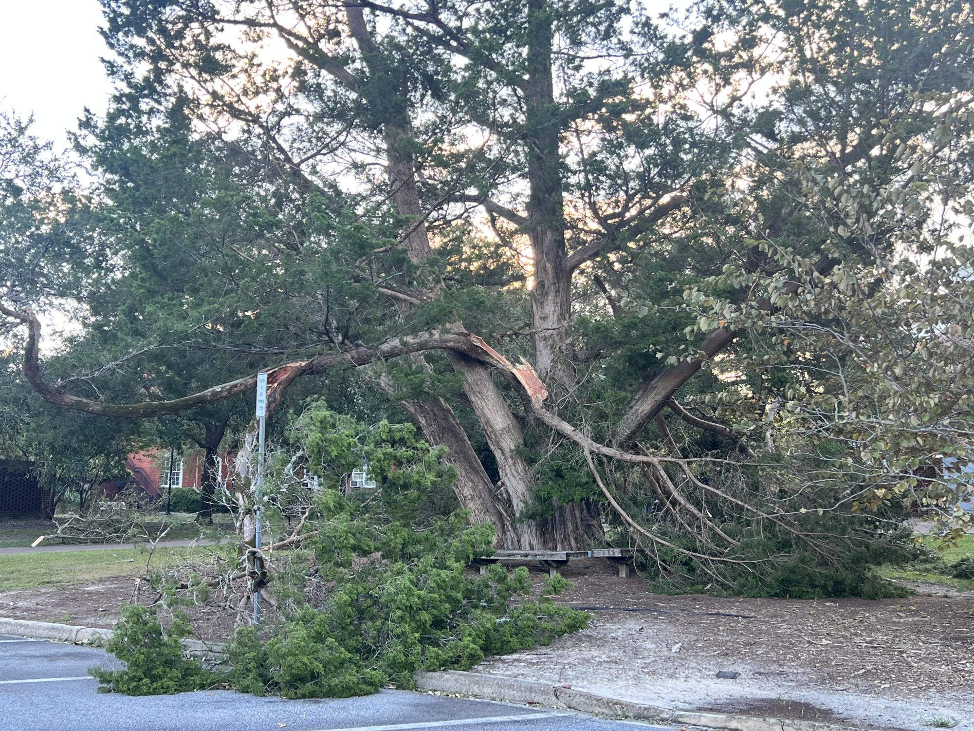 Gallery: Hurricane Helene Aftermath