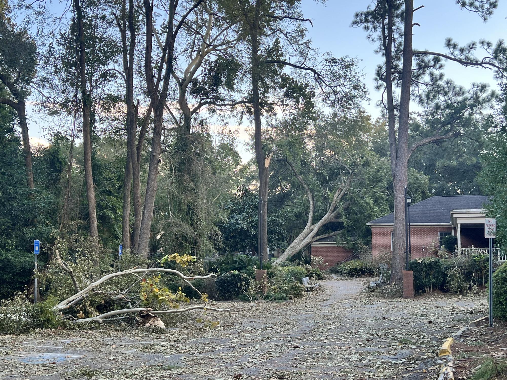 Gallery: Hurricane Helene Aftermath