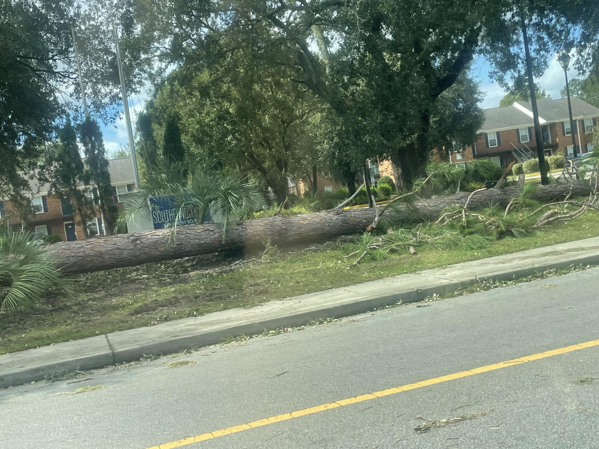 Gallery: Hurricane Helene Aftermath