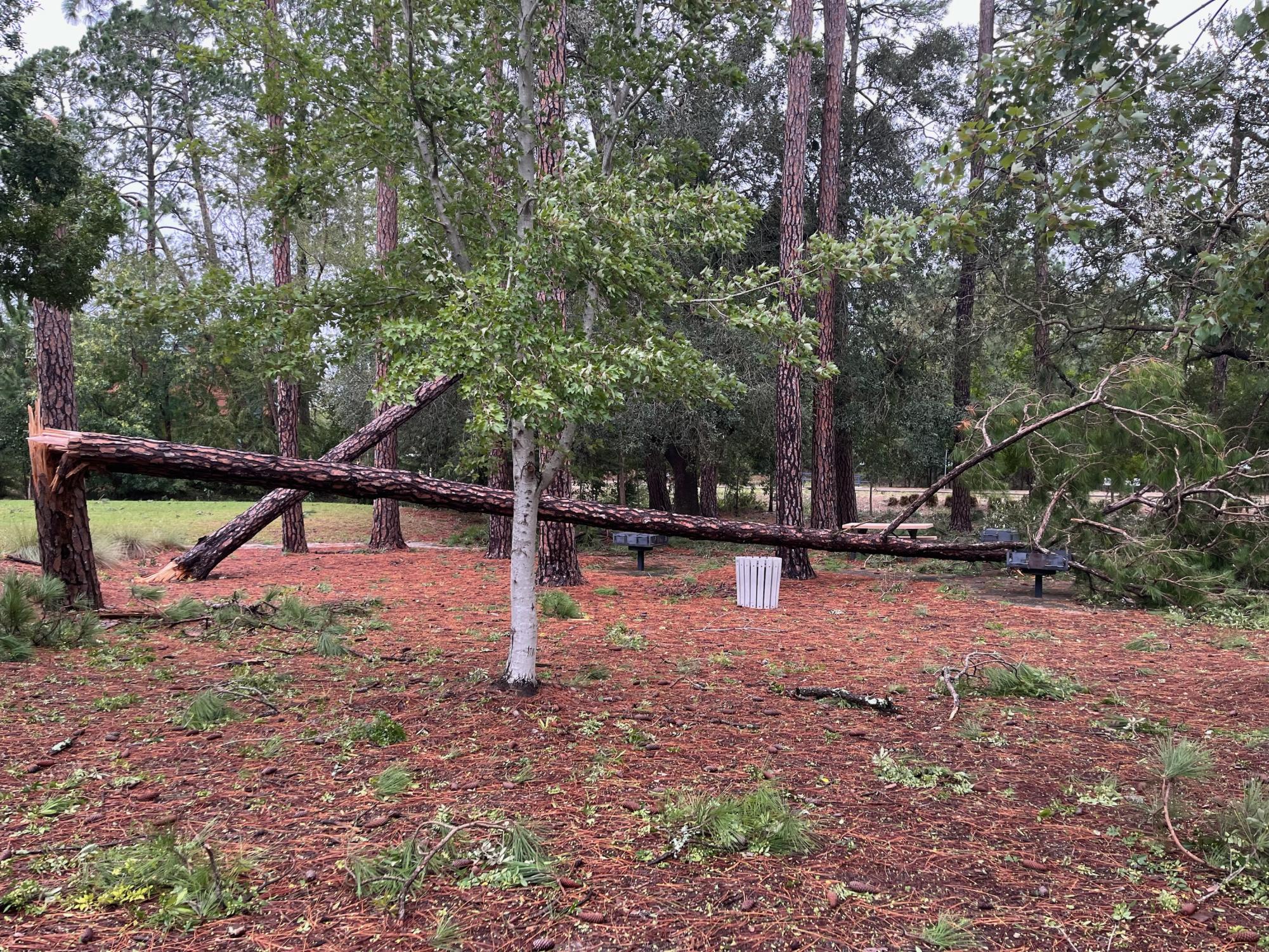 Gallery: Hurricane Helene Aftermath