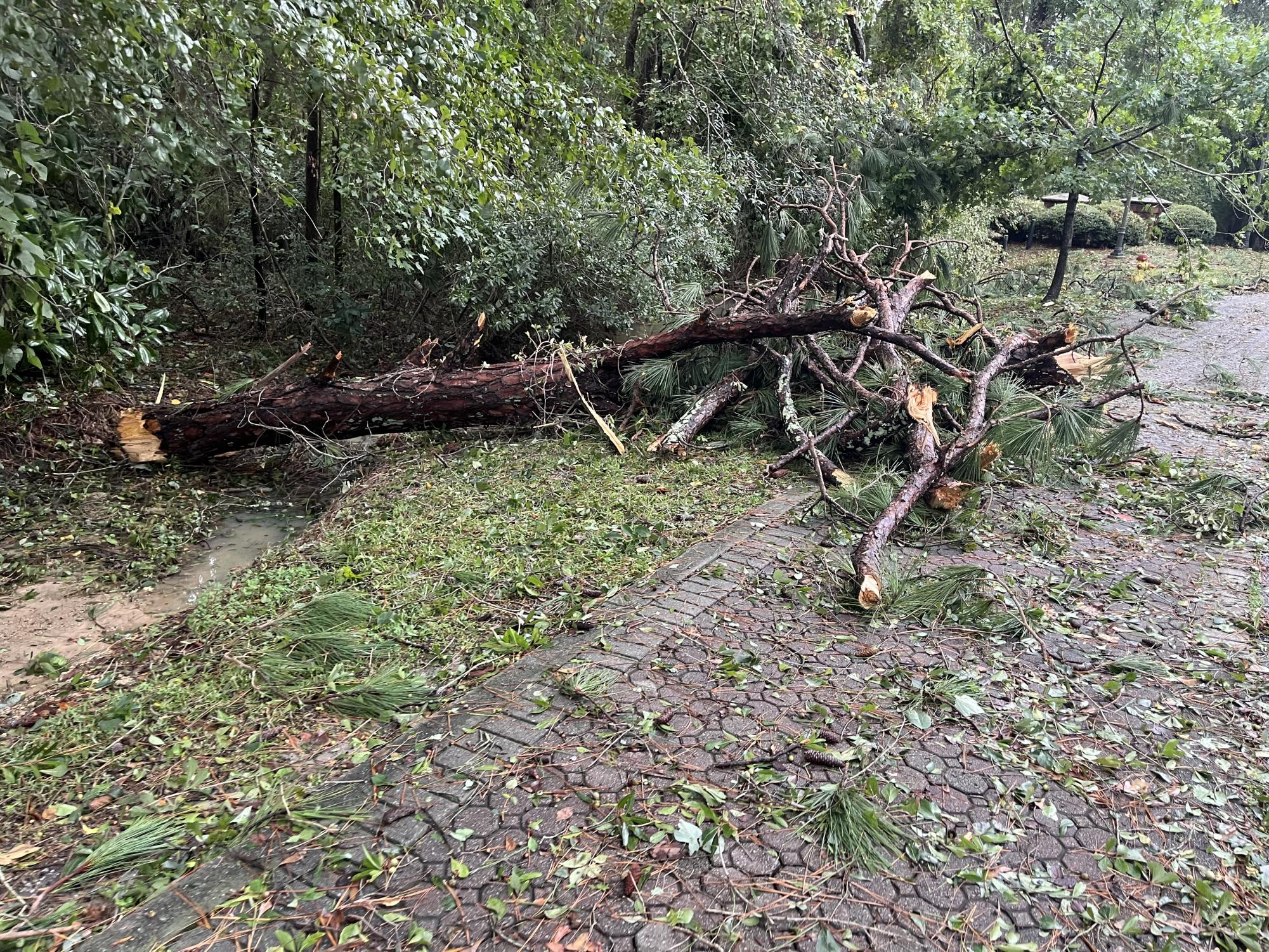 Gallery: Hurricane Helene Aftermath