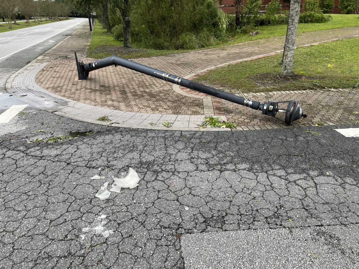 Fallen light pole near Biological Science Building