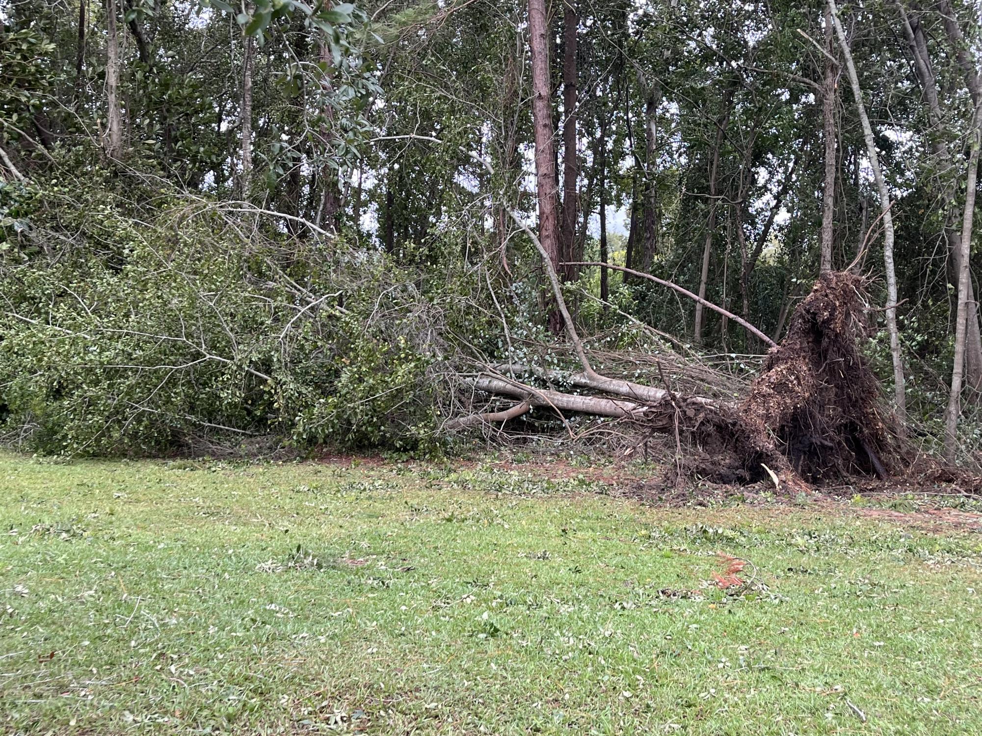 Gallery: Hurricane Helene Aftermath