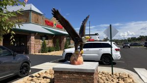 'Virginia' the Eagle structure pictured outside of Texas Roadhouse 