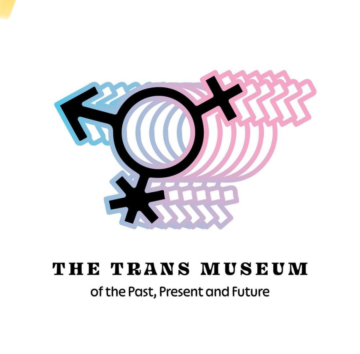 The Trans Museum Logo