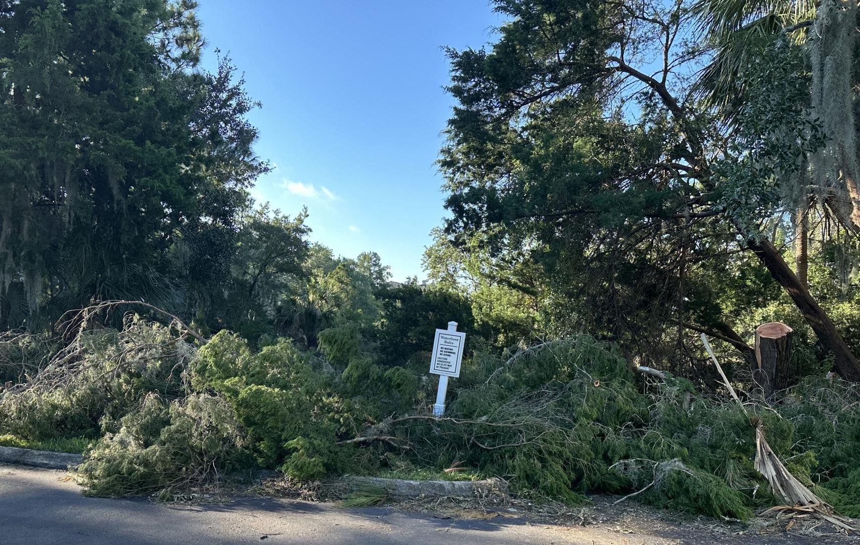 Hurricane Helene's impact on Savannah