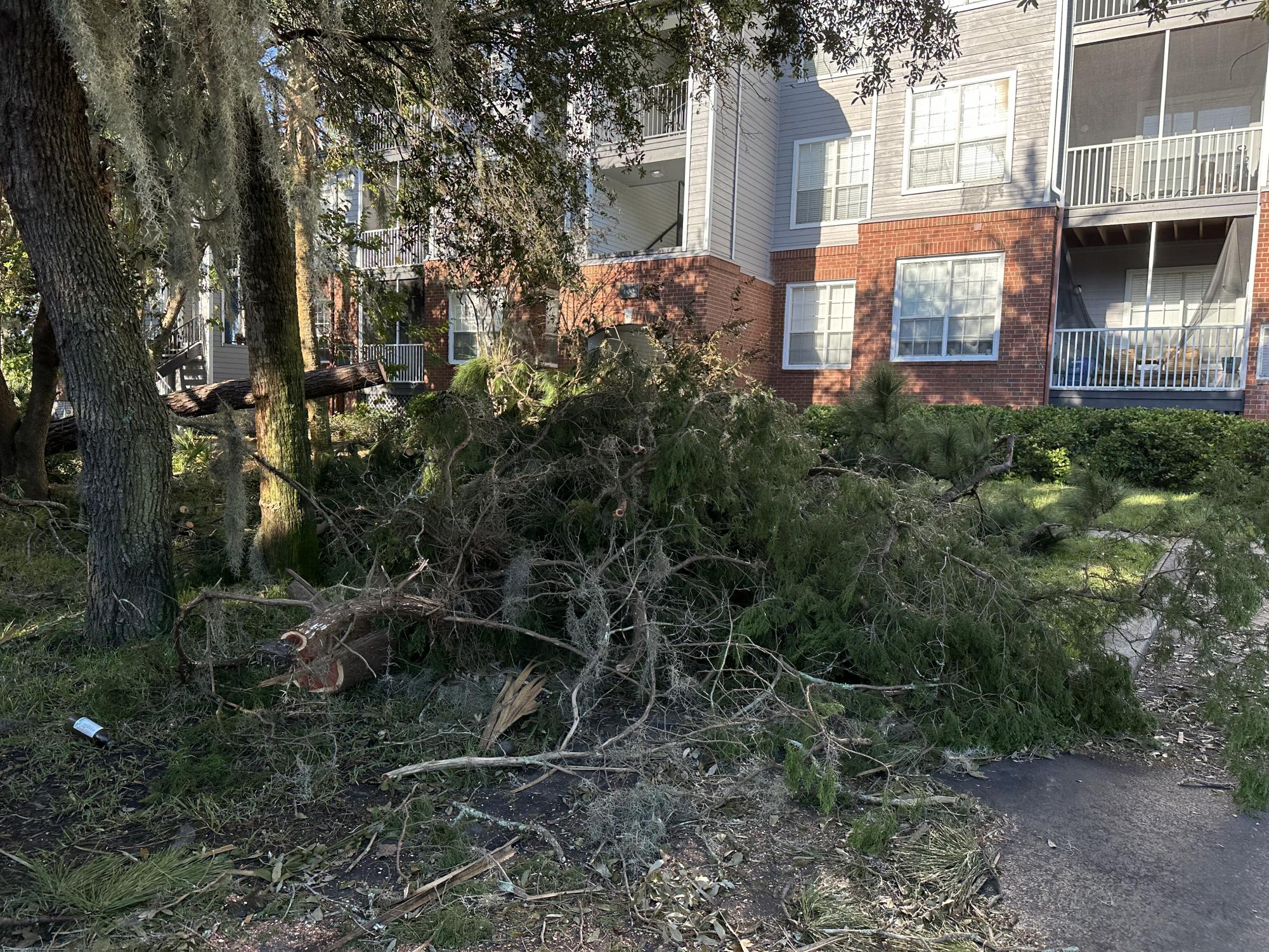 Hurricane Helene's impact on Savannah