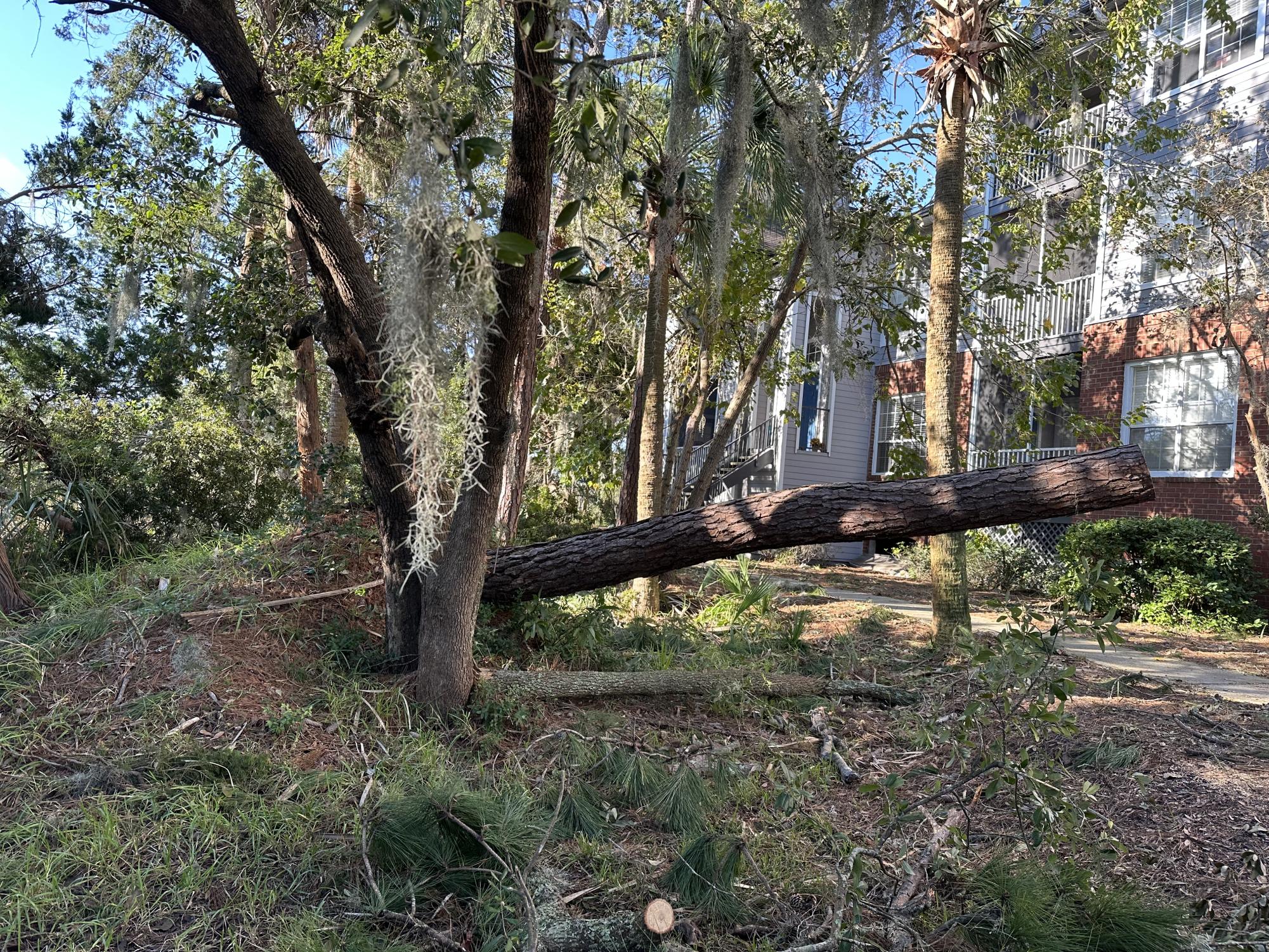 Hurricane Helene's impact on Savannah