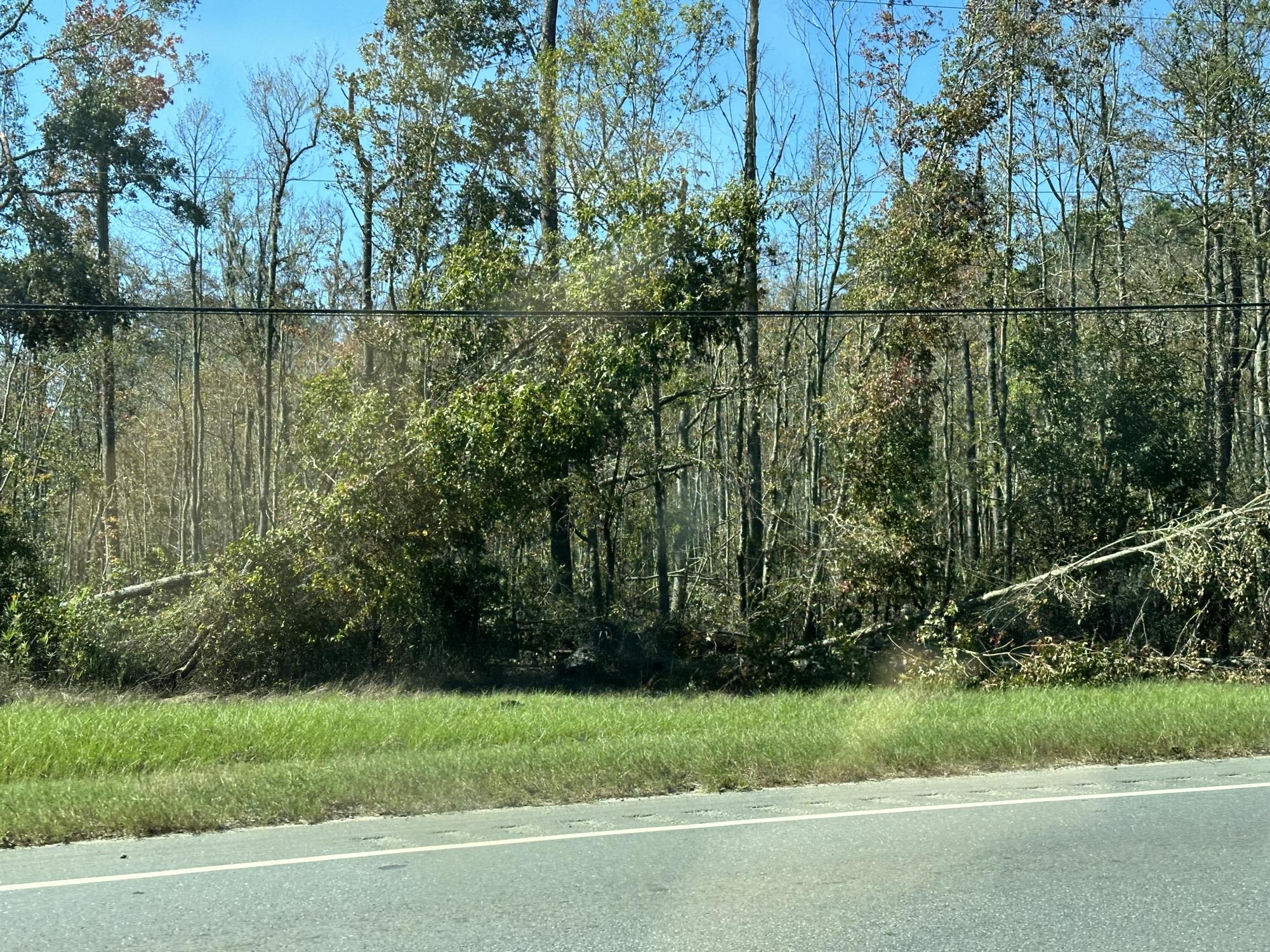 Hurricane Helene's impact on Savannah