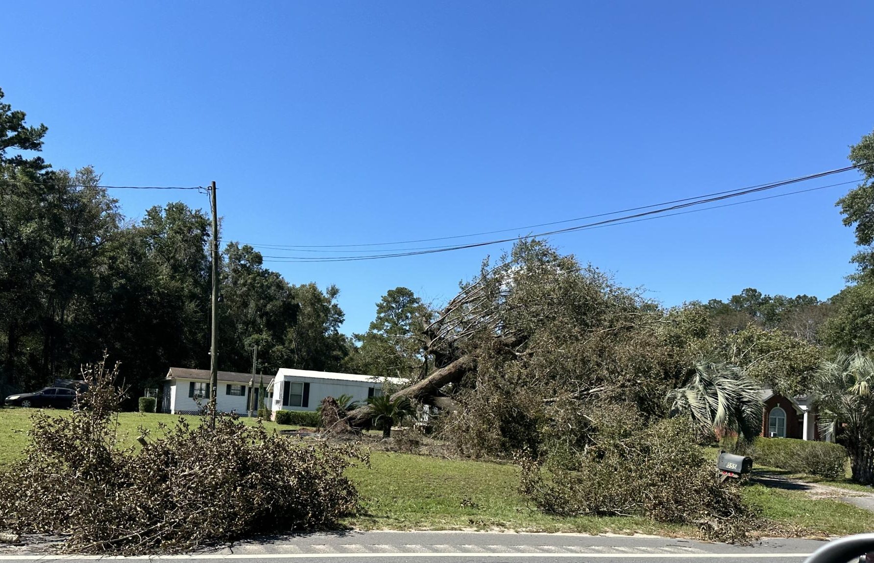 Hurricane Helene's impact on Savannah