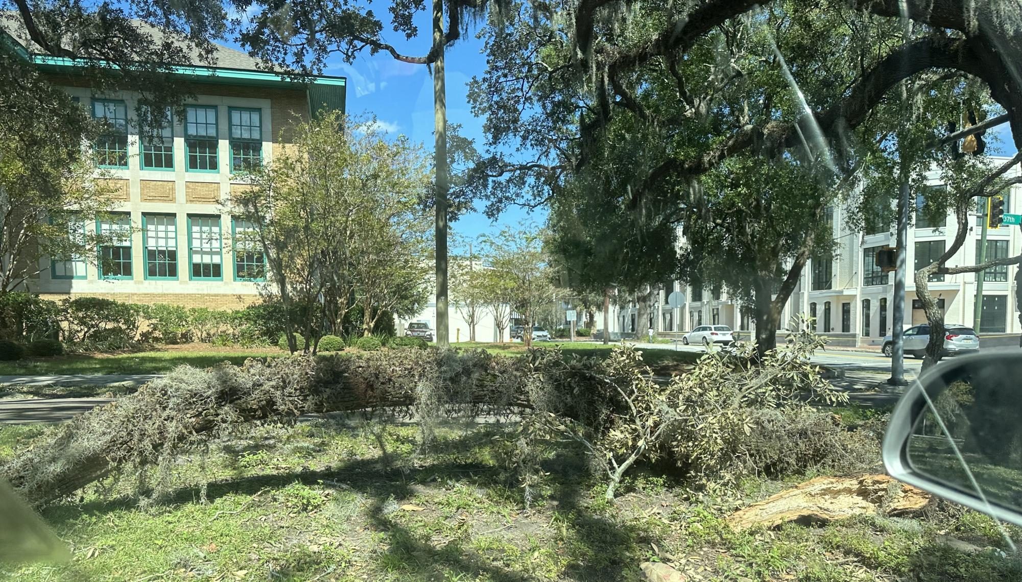 Hurricane Helene's impact on Savannah