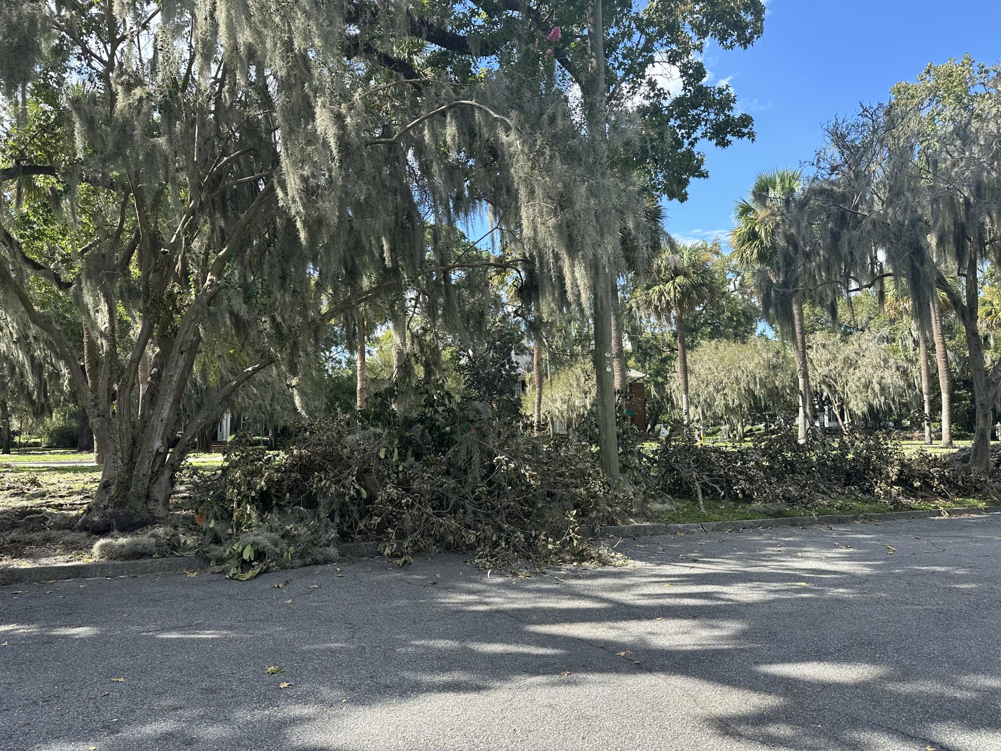 Hurricane Helene's impact on Savannah