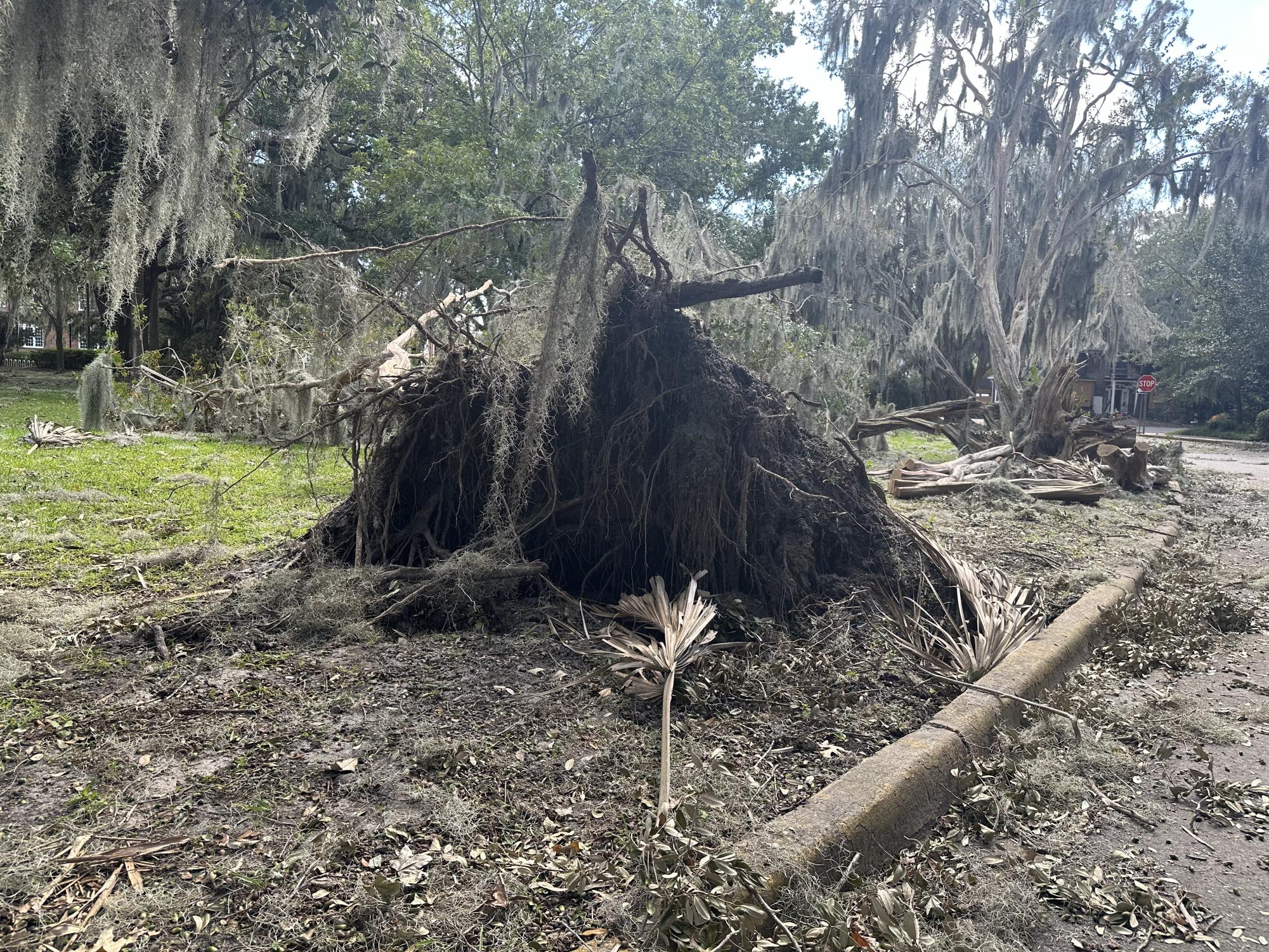 Hurricane Helene's impact on Savannah