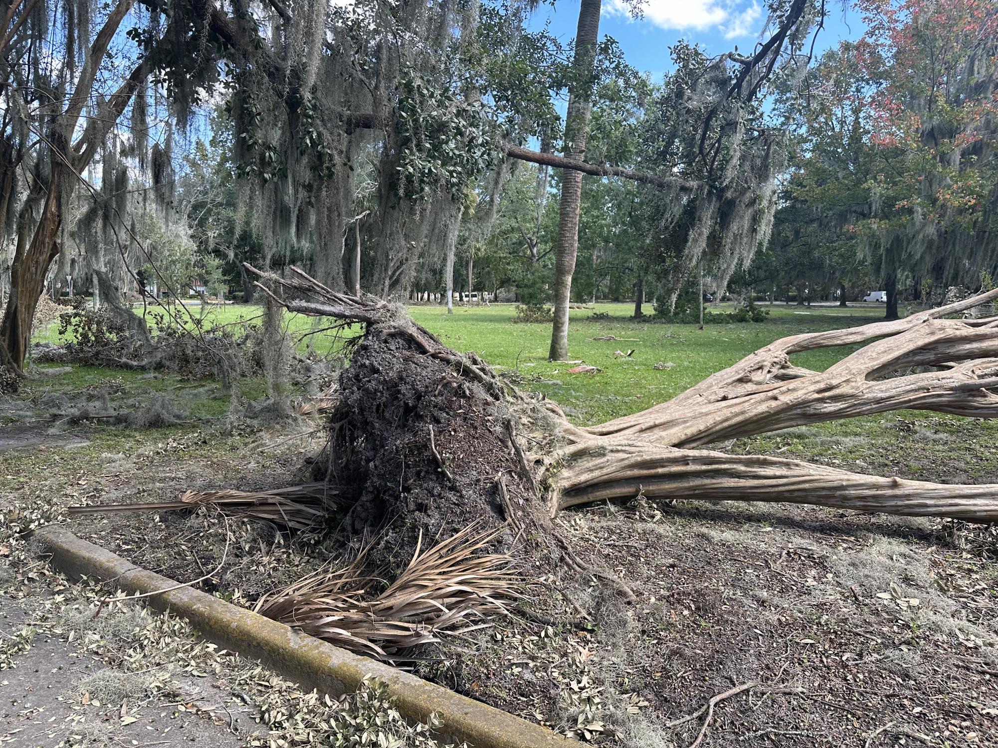 Hurricane Helene's impact on Savannah