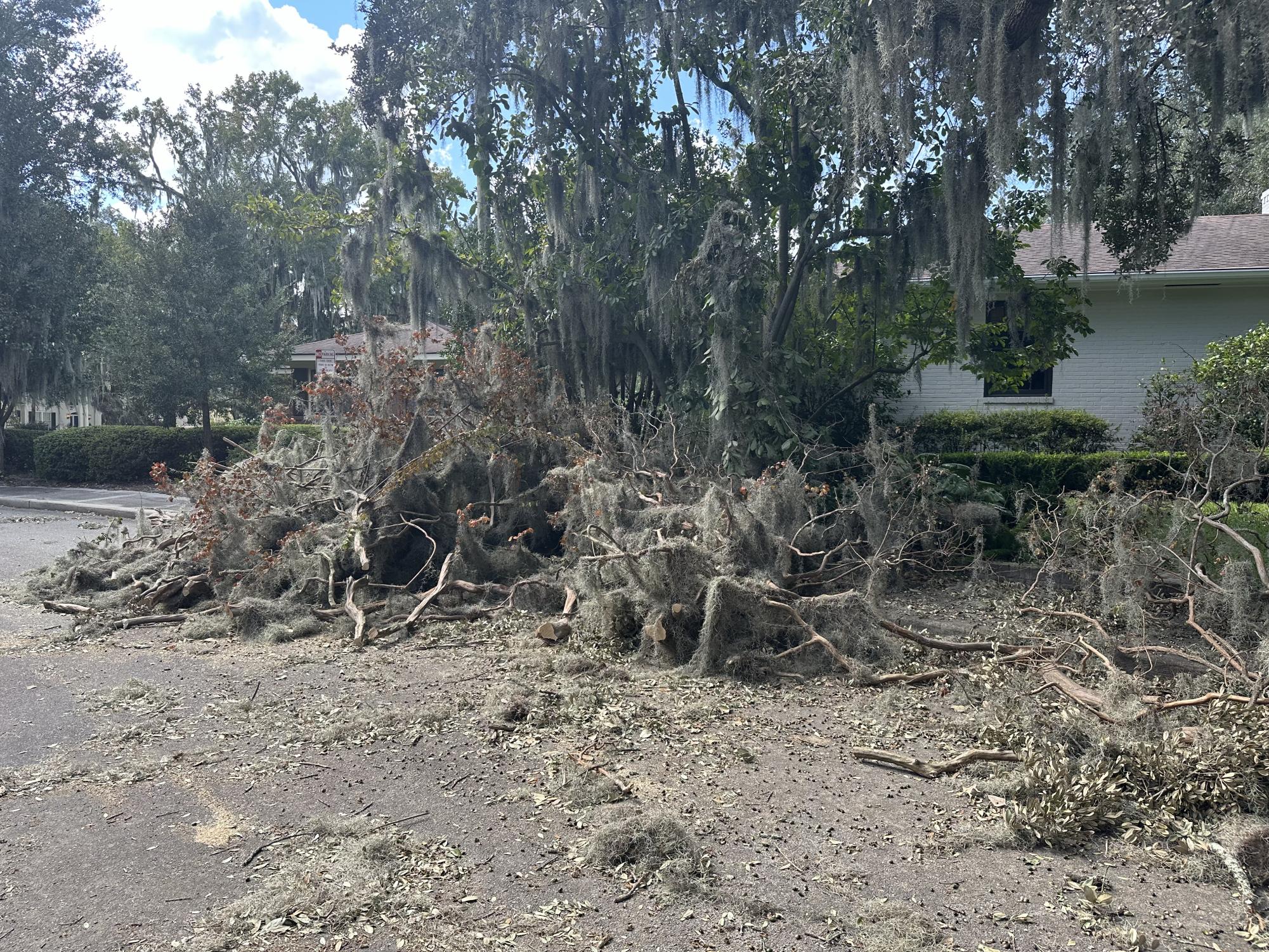 Hurricane Helene's impact on Savannah