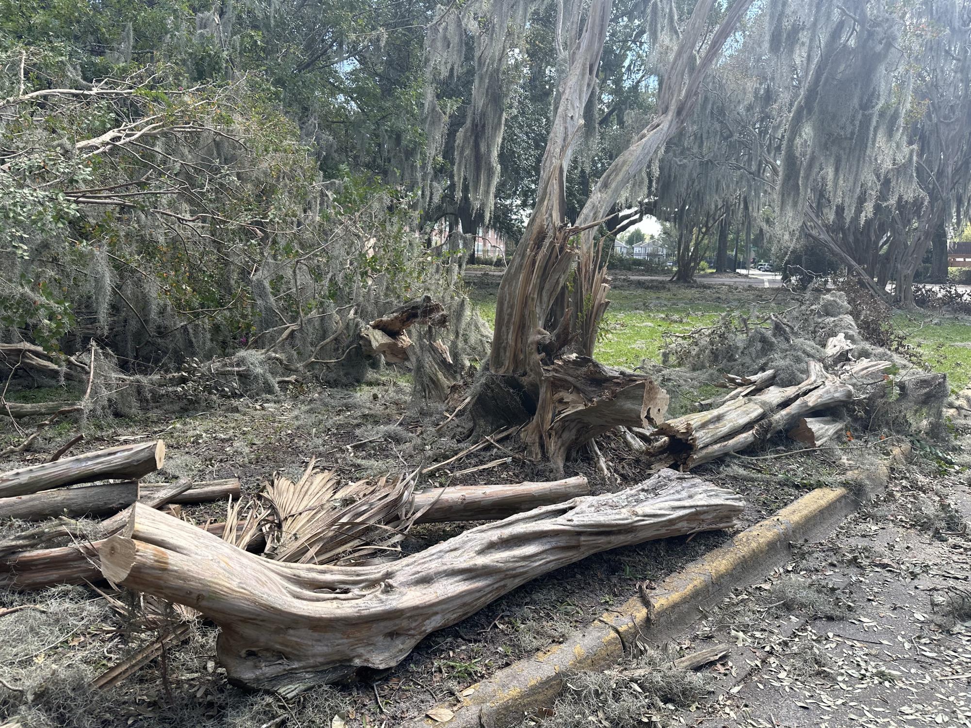 Hurricane Helene's impact on Savannah