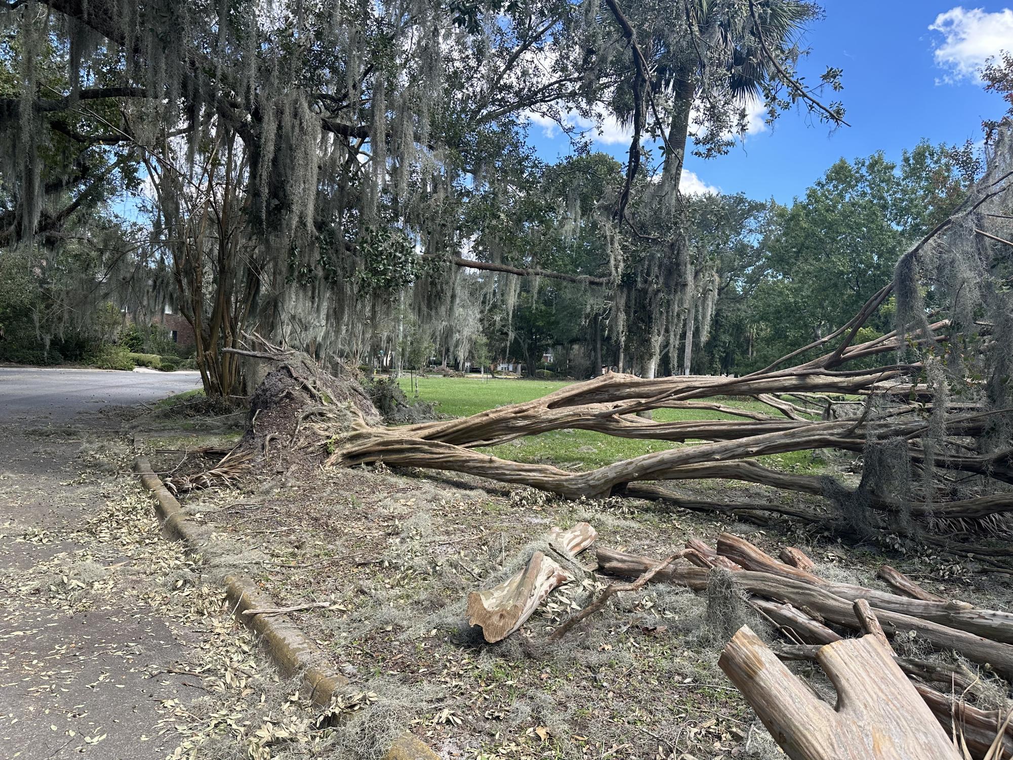 Hurricane Helene's impact on Savannah