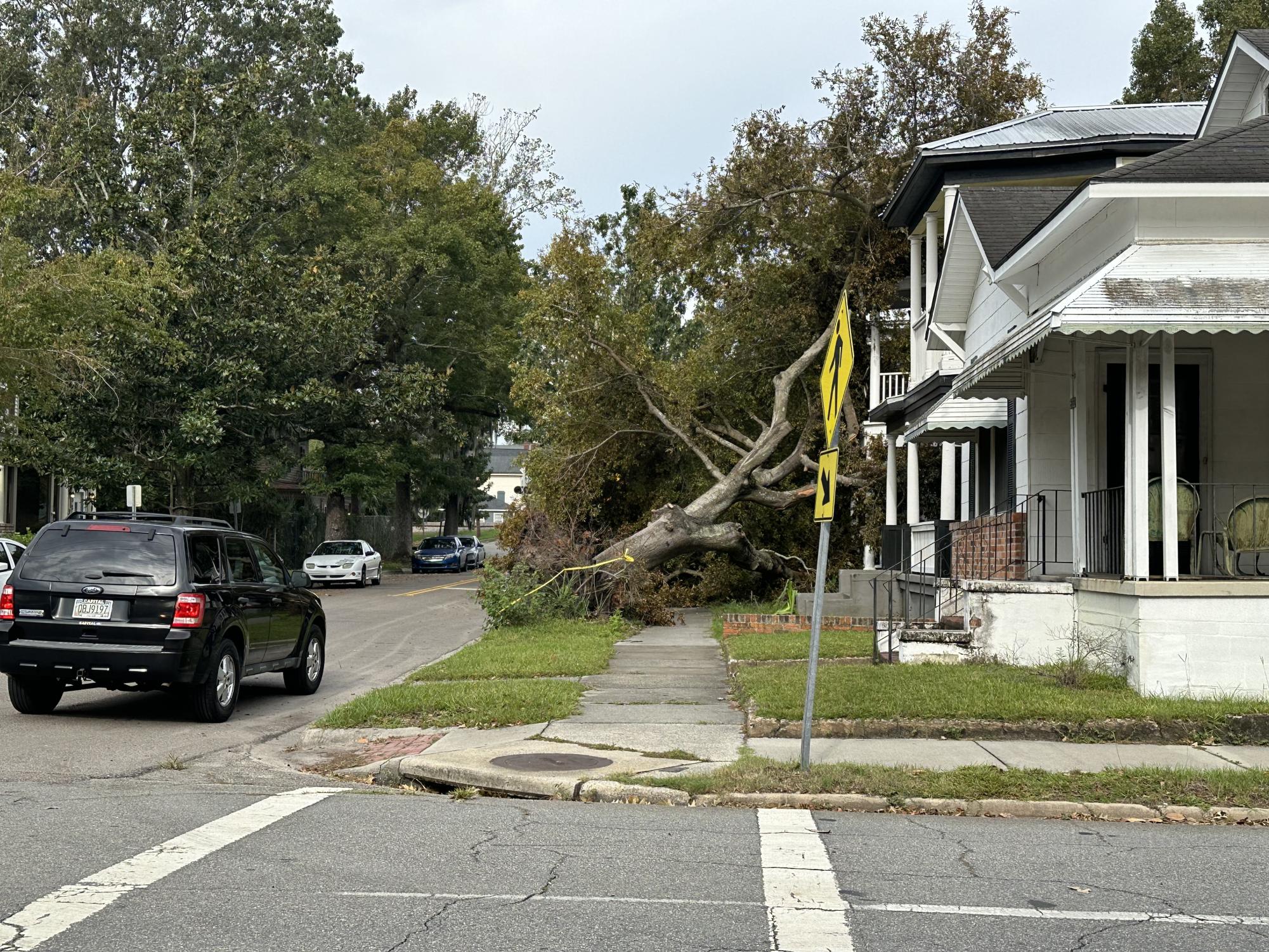 Hurricane Helene's impact on Savannah