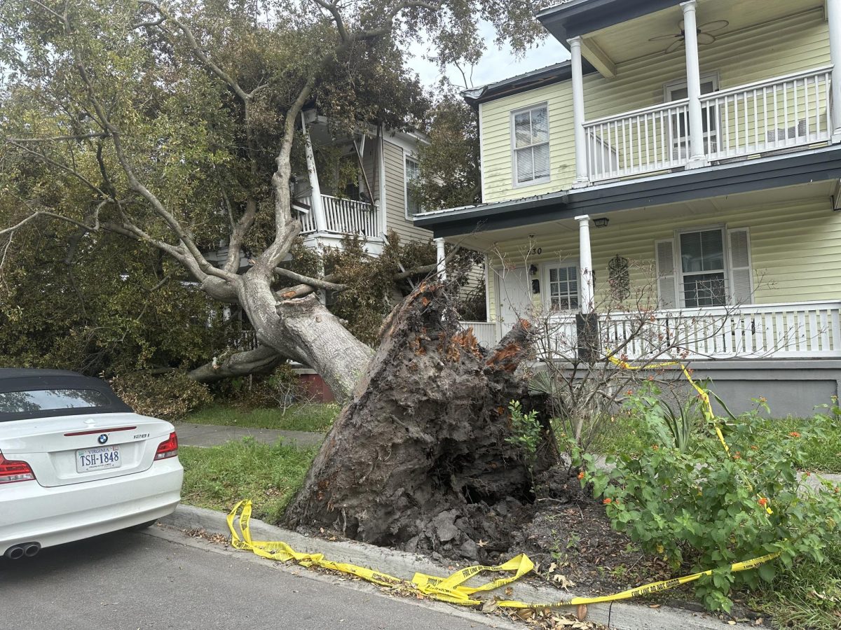 Fallen tree on a house near E Broad St