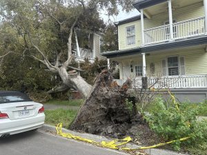 Fallen tree on a house near E Broad St