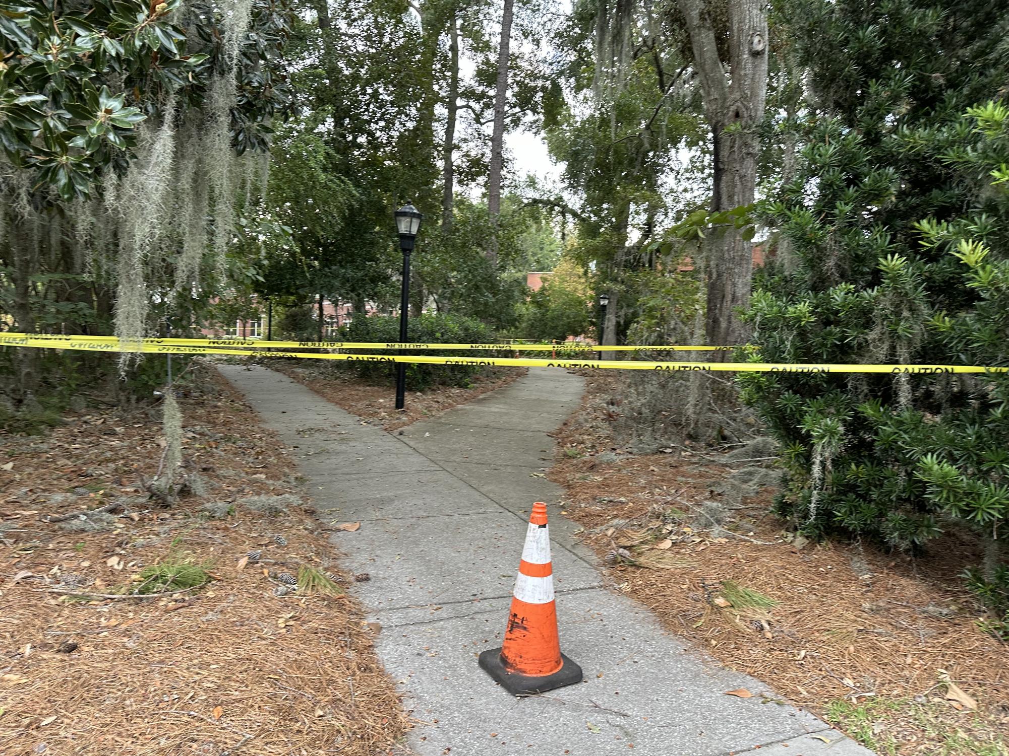 Hurricane Helene's impact on Savannah