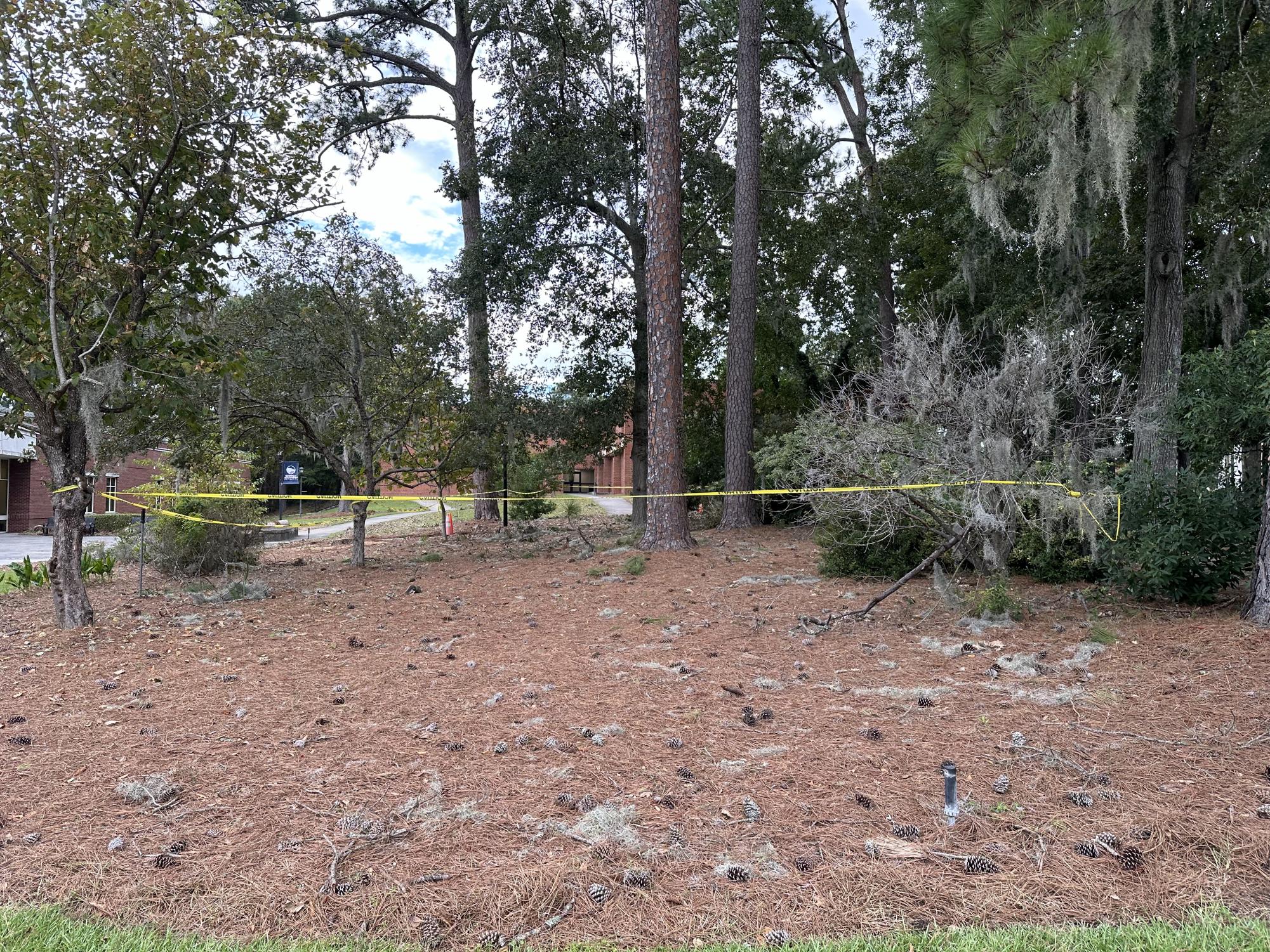 Hurricane Helene's impact on Savannah